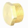 004010020 - Bouchon laiton 1-2 pouce pour filtre Arag 345 (3) 