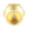 004010020 - Bouchon laiton 1-2 pouce pour filtre Arag 345 (4) 