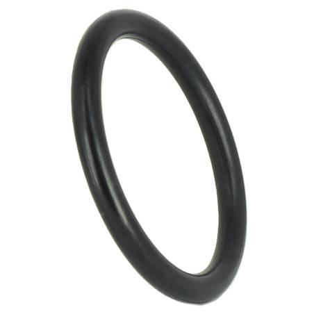 215489 - Tamis de filtre Berthoud 600 microns avec joint - blanc (4)